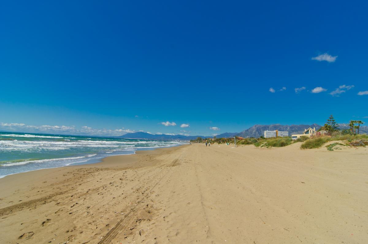 El Alicate sandy beach